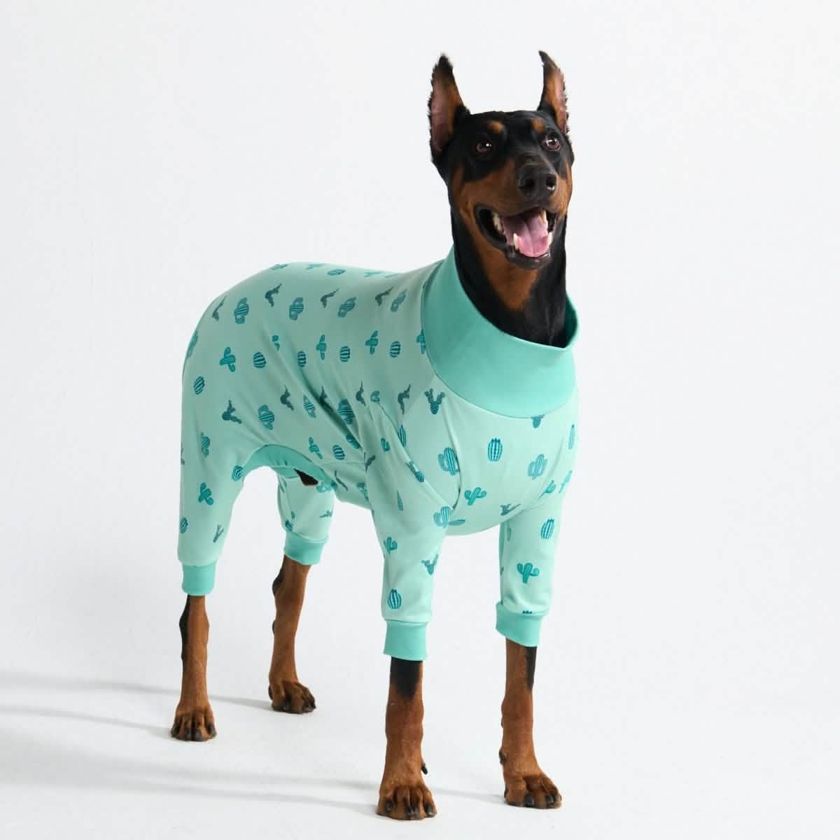 Dog Pajama Prints