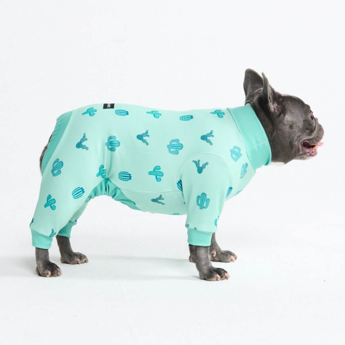 Dog Pajama Prints