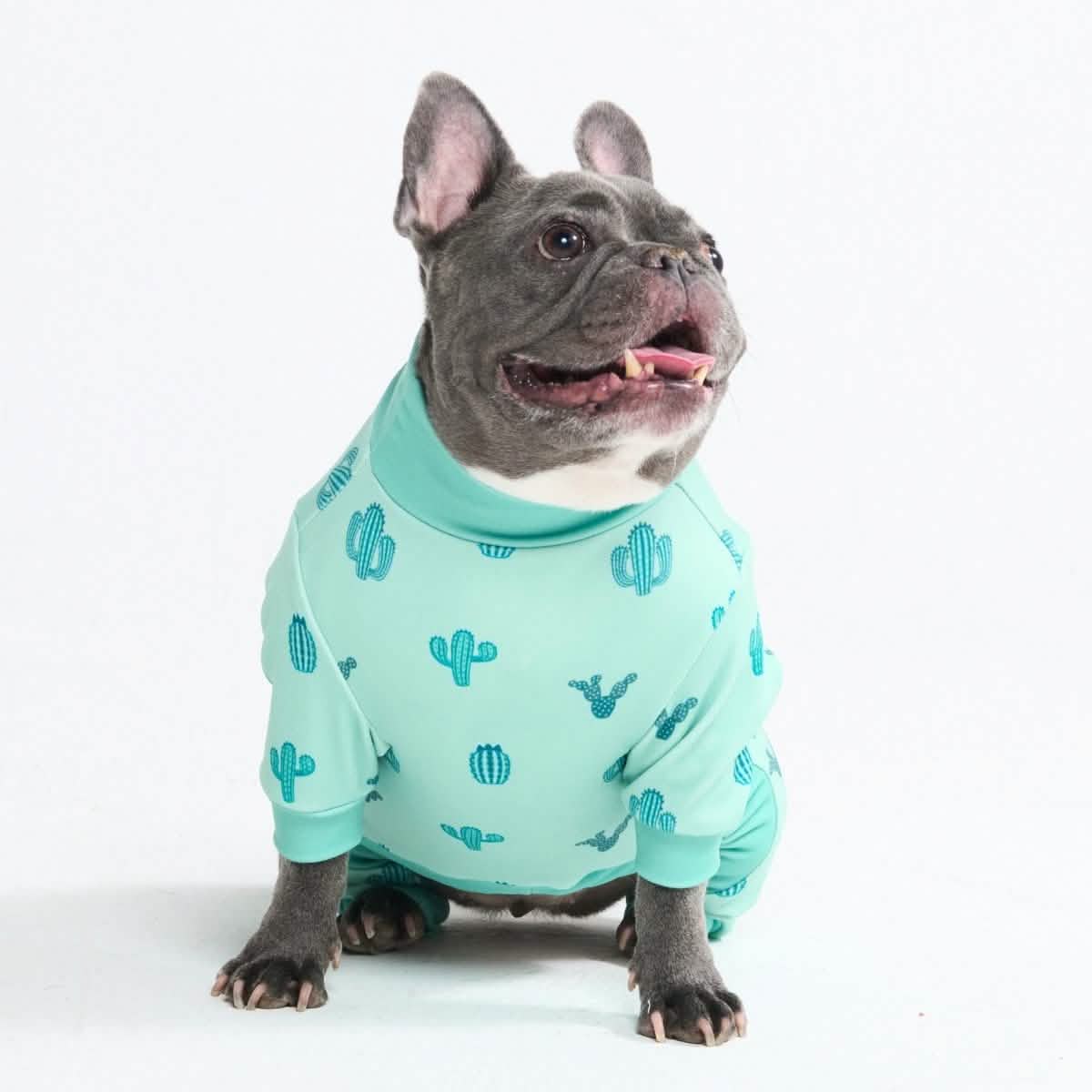Dog Pajama Prints