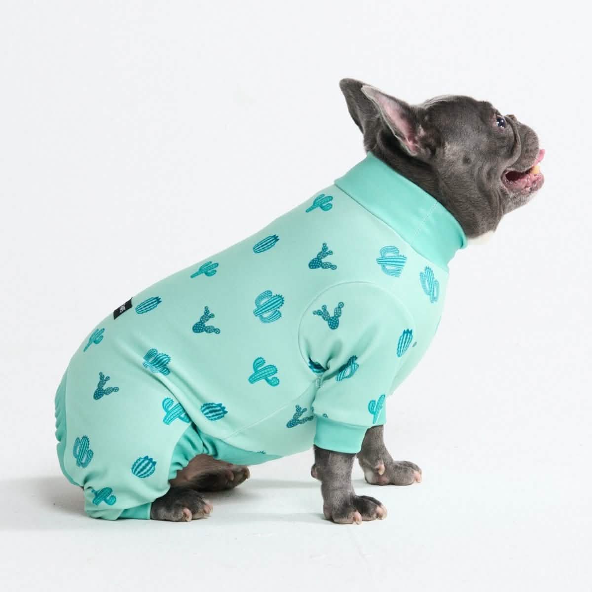 Dog Pajama Prints