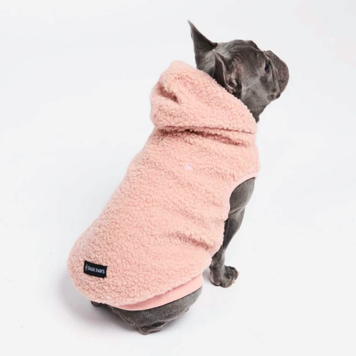 Teddy Sherpa Dog Jackets