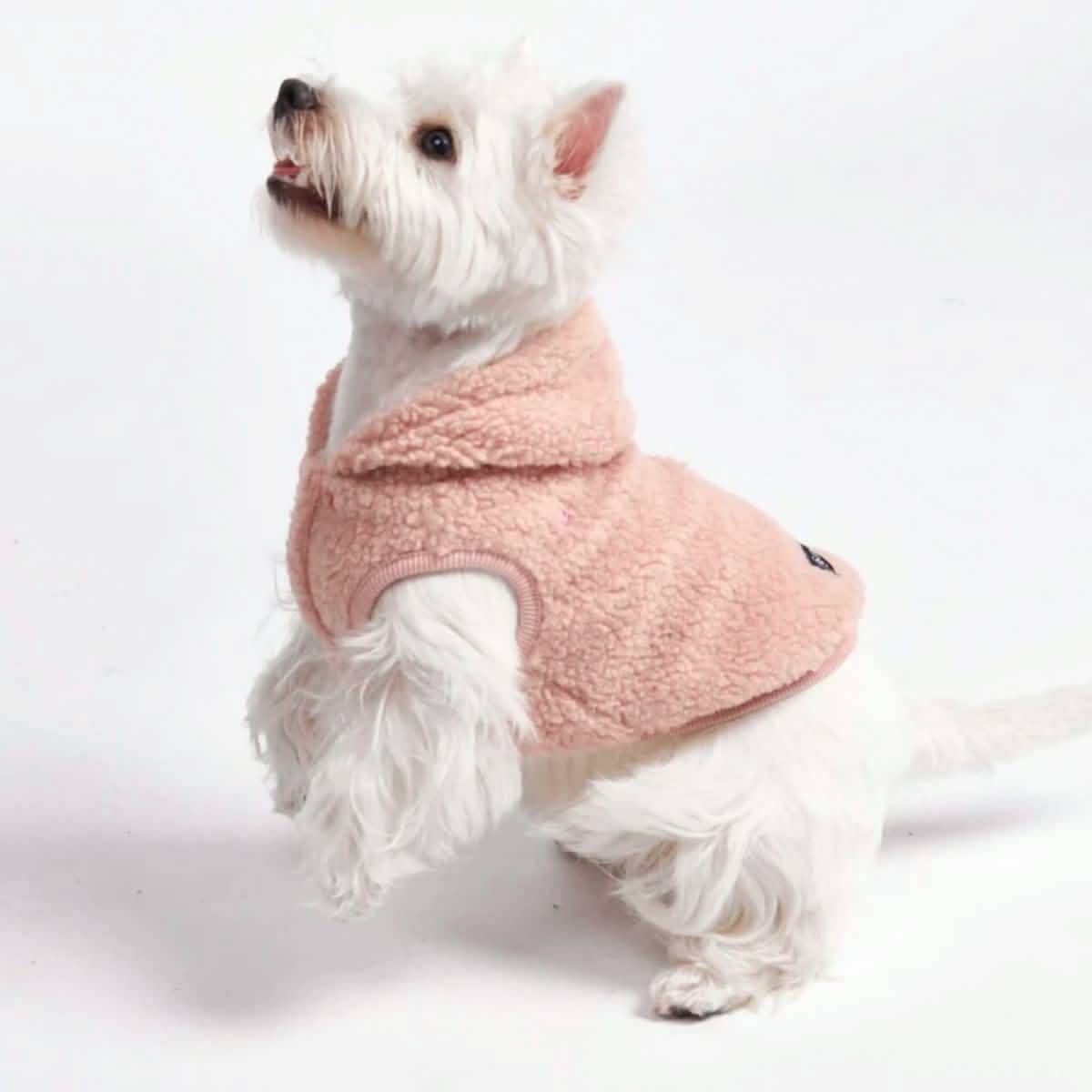 Teddy Sherpa Dog Jackets