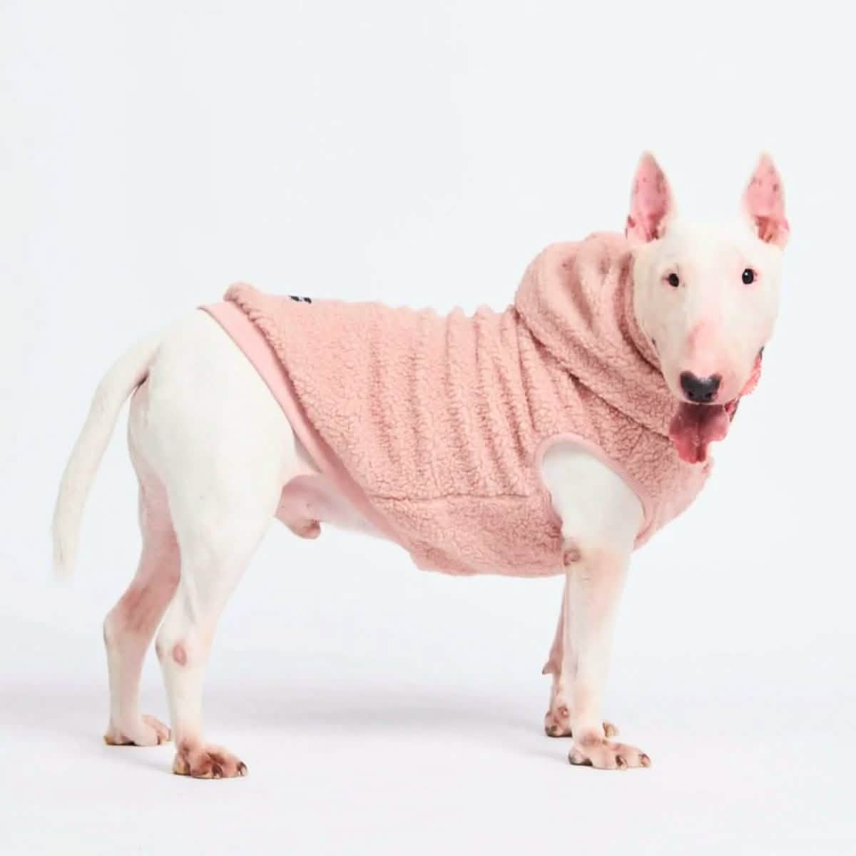 Teddy Sherpa Dog Jackets
