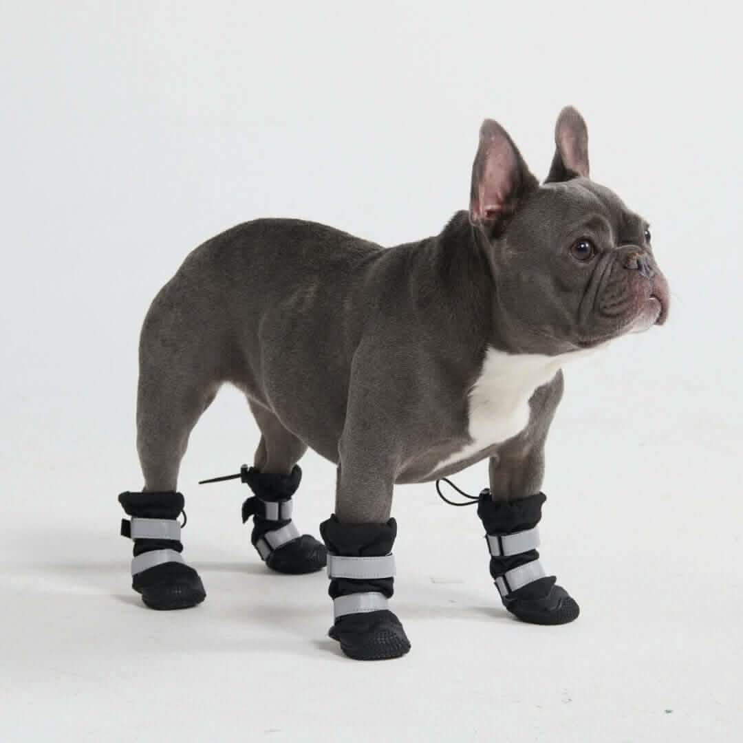 Flex Shell Waterproof Dog Boots