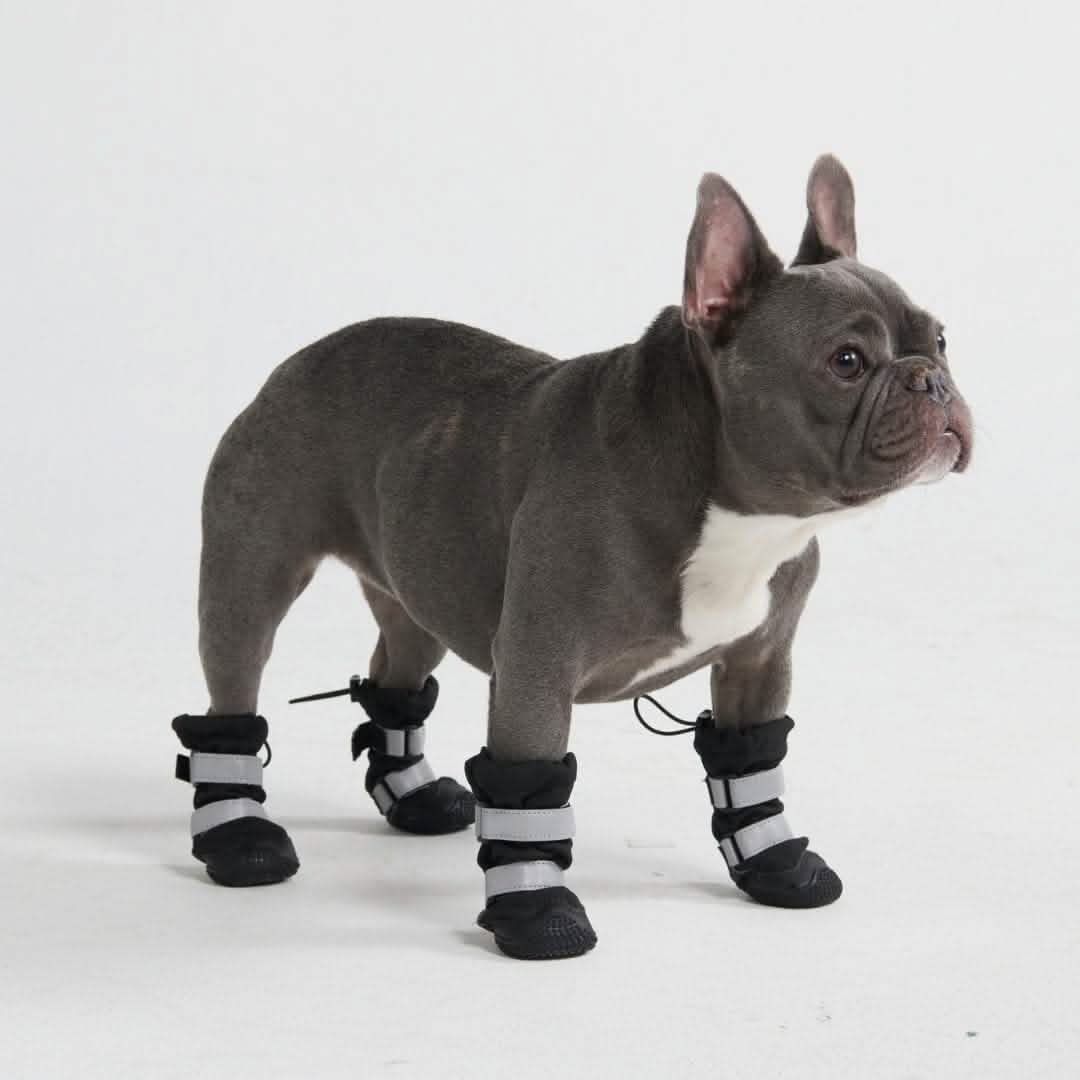Flex Shell Waterproof Dog Boots