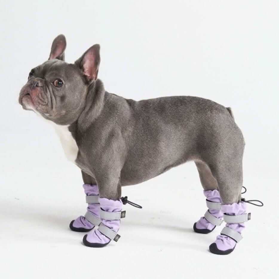 Flex Shell Waterproof Dog Boots