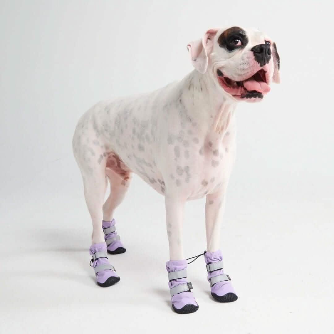 Flex Shell Waterproof Dog Boots