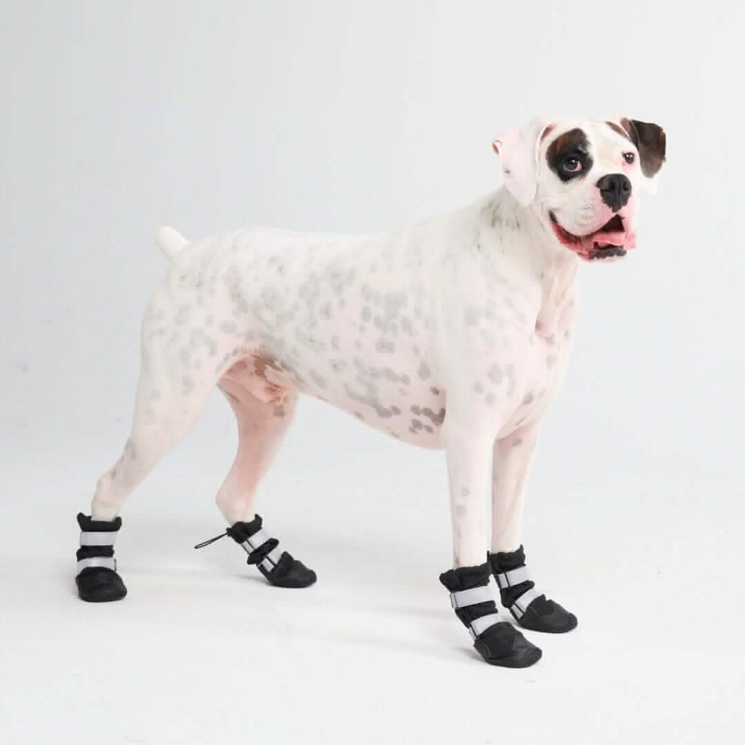 Flex Shell Waterproof Dog Boots