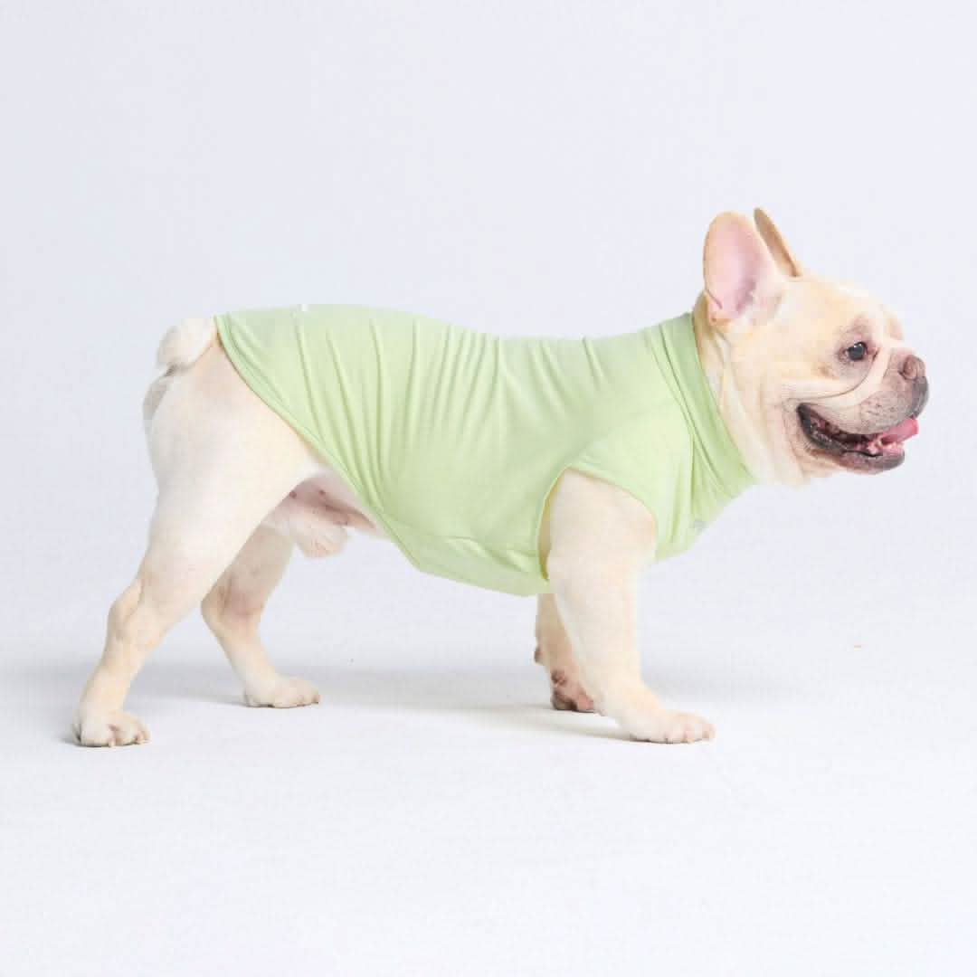 Sunblock Dog T-Shirt - Light Sage